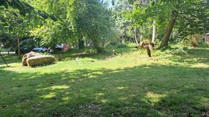 St Ives Holiday Village Lelant